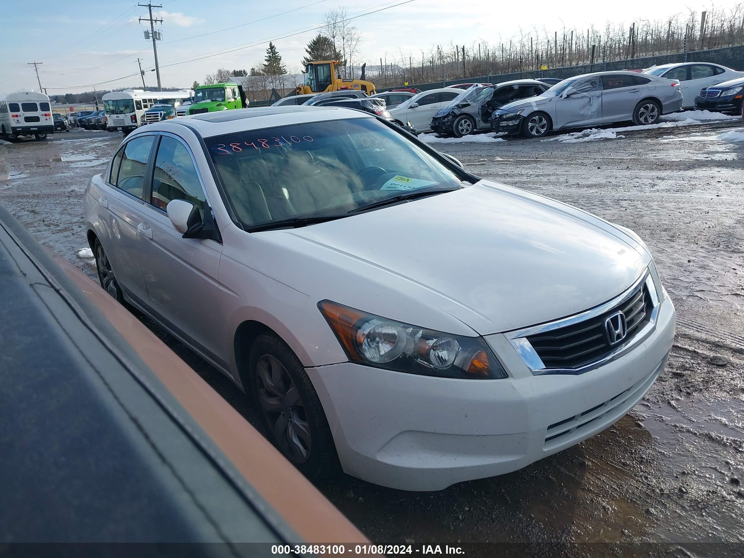 HONDA ACCORD 2009 1hgcp26829a088429