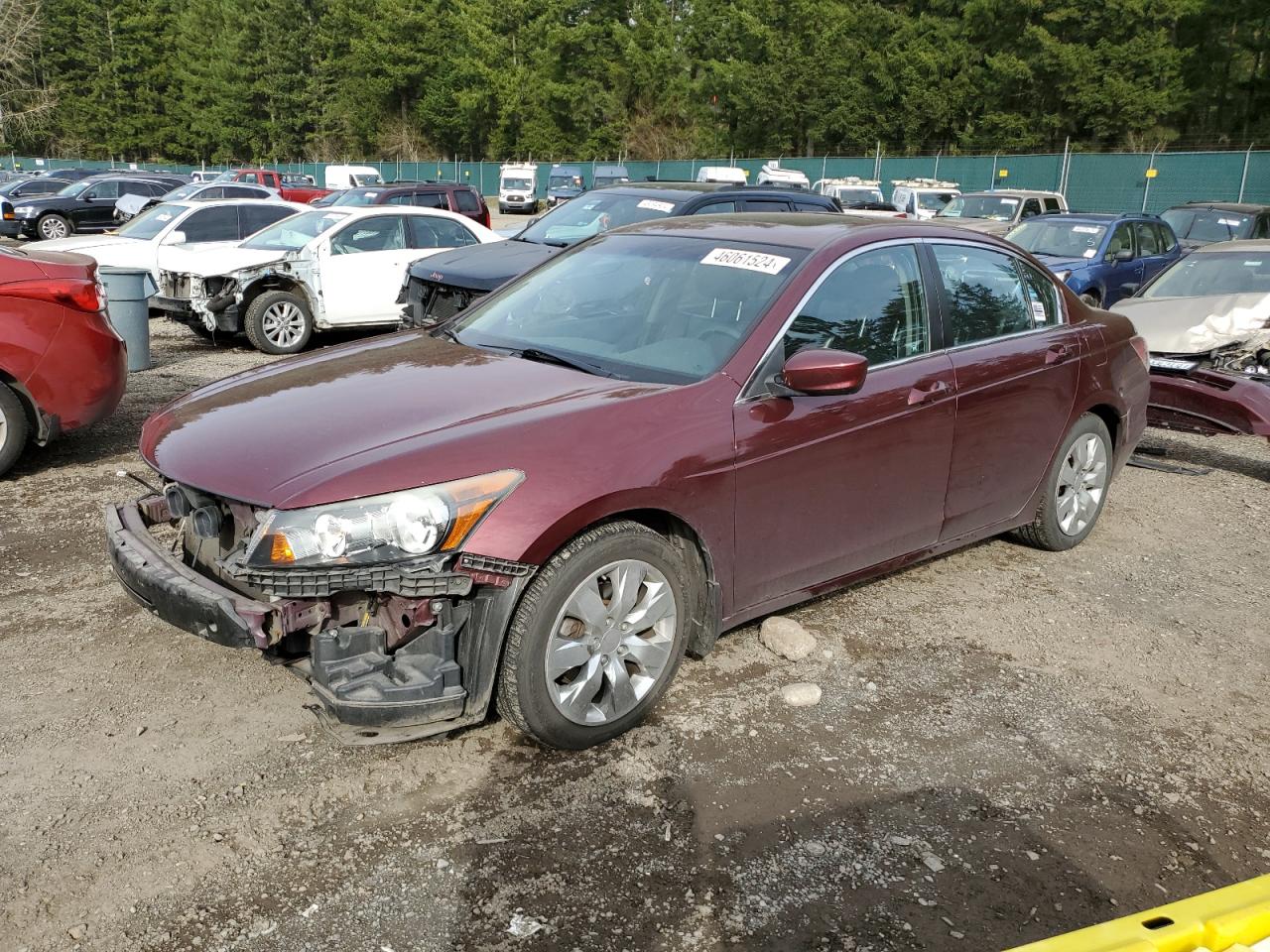 HONDA ACCORD 2008 1hgcp26848a804083