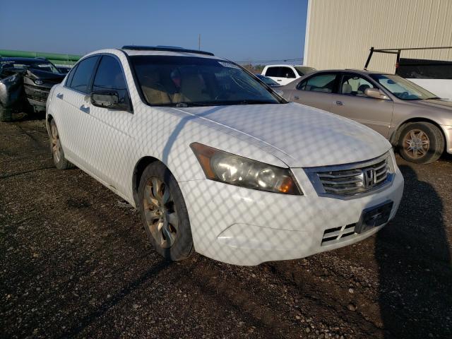 HONDA ACCORD EXL 2009 1hgcp26879a002001