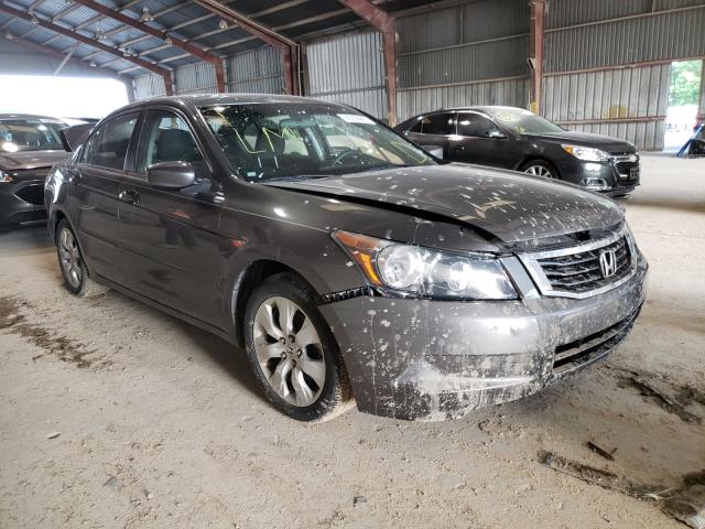 HONDA ACCORD EX 2010 1hgcp2e72aa075399