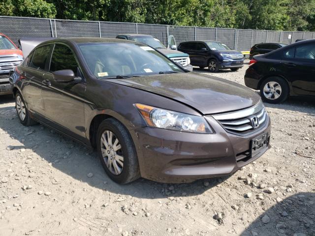 HONDA ACCORD LX 2011 1hgcp2f30ba026666