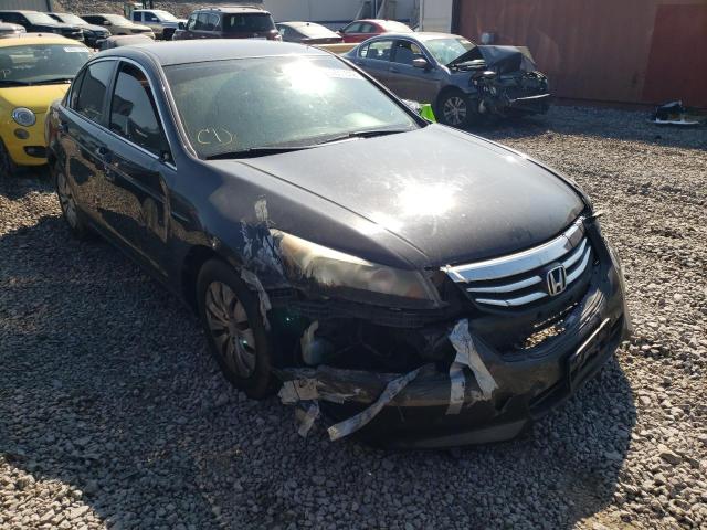 HONDA ACCORD LX 2011 1hgcp2f30ba128498