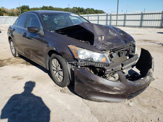 HONDA ACCORD LX 2011 1hgcp2f31ba038731