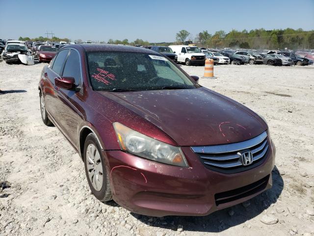 HONDA ACCORD LX 2011 1hgcp2f31ba151028