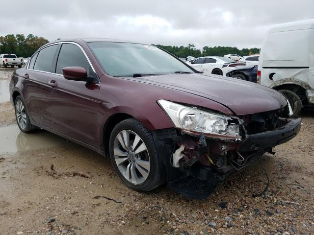 HONDA ACCORD LX 2012 1hgcp2f31ca043316