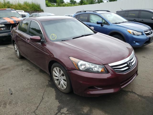 HONDA ACCORD LX 2011 1hgcp2f32ba008749