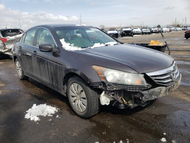 HONDA ACCORD LX 2011 1hgcp2f32ba038799