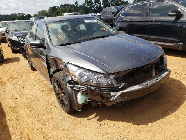 HONDA ACCORD LX 2011 1hgcp2f32ba135596