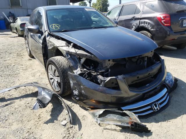 HONDA ACCORD LX 2011 1hgcp2f32ba136781