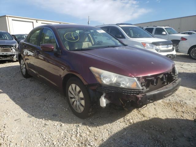 HONDA ACCORD LX 2010 1hgcp2f34aa042674