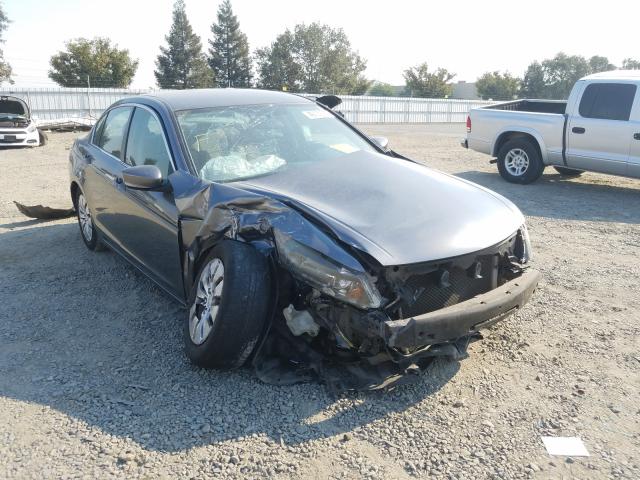 HONDA ACCORD LX 2010 1hgcp2f34aa146145