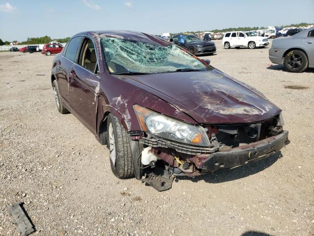 HONDA ACCORD LX 2011 1hgcp2f34ba076907