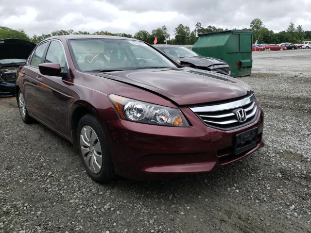 HONDA ACCORD LX 2011 1hgcp2f34ba156210