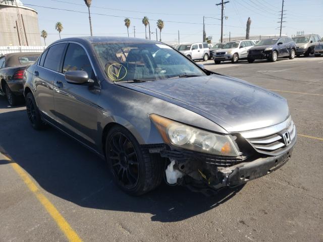 HONDA ACCORD LX 2011 1hgcp2f35ba136984