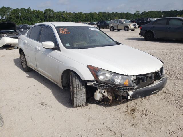 HONDA ACCORD LX 2010 1hgcp2f36aa071383