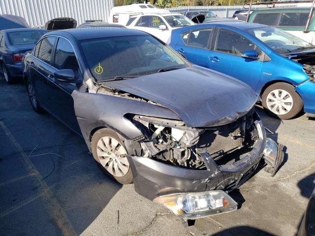 HONDA ACCORD LX 2011 1hgcp2f36ba042287