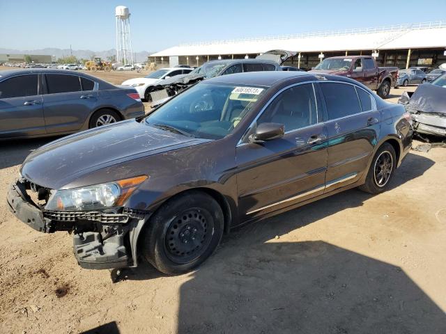 HONDA ACCORD LX 2011 1hgcp2f36ba128604