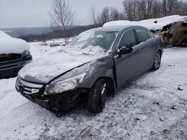 HONDA ACCORD LX 2011 1hgcp2f36ba148710