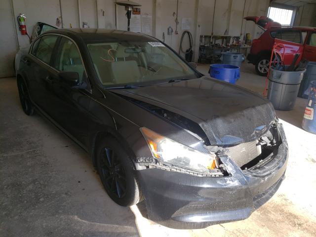 HONDA ACCORD LX 2011 1hgcp2f37ba056537