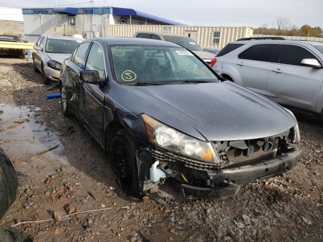 HONDA ACCORD LX 2011 1hgcp2f37ba064430