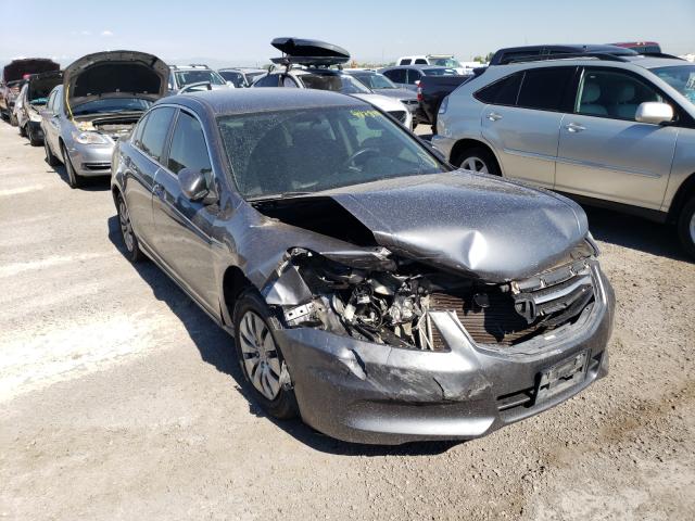 HONDA ACCORD LX 2011 1hgcp2f38ba008660