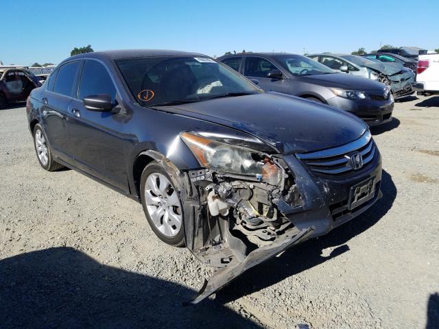 HONDA ACCORD LX 2011 1hgcp2f38ba084444