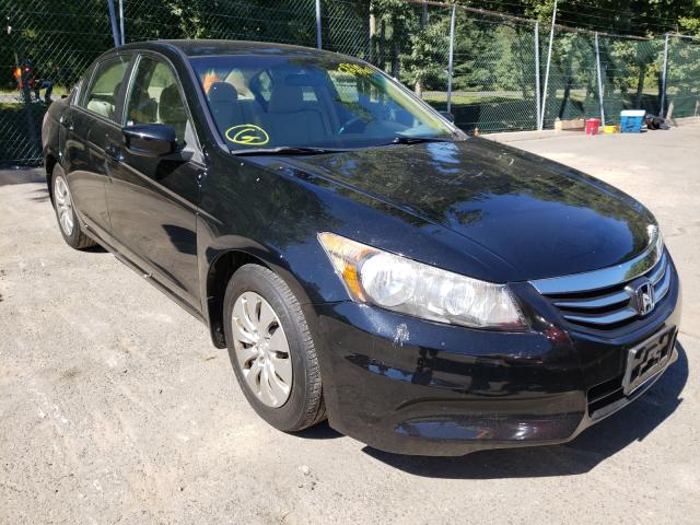 HONDA ACCORD LX 2011 1hgcp2f38ba093113