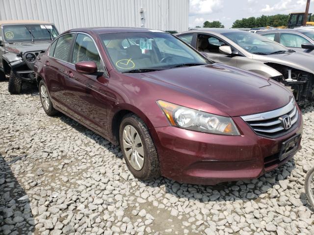 HONDA ACCORD LX 2011 1hgcp2f38ba103512