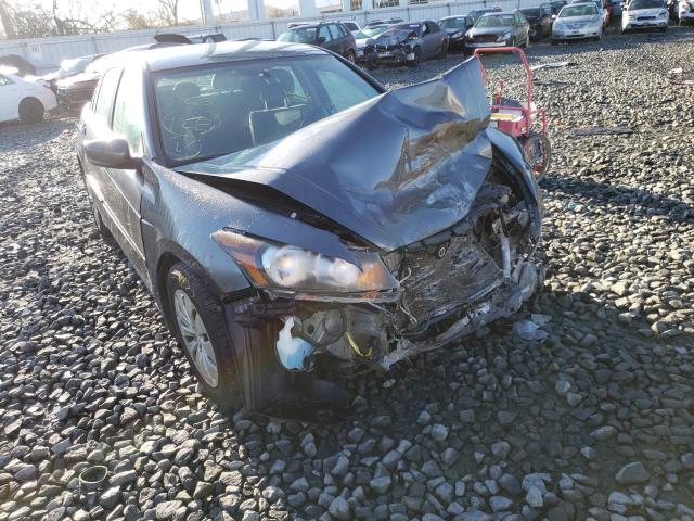 HONDA ACCORD LX 2011 1hgcp2f38ba134324