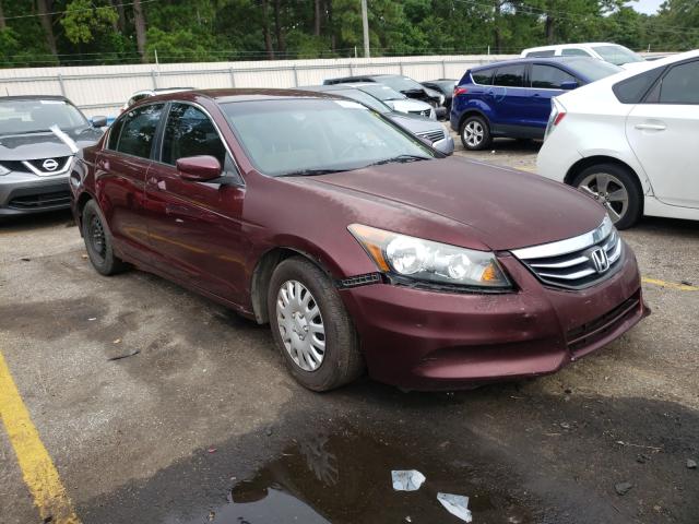 HONDA ACCORD LX 2011 1hgcp2f38ba147784