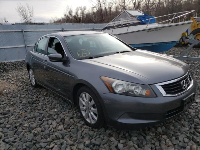 HONDA ACCORD LX 2010 1hgcp2f39aa105204