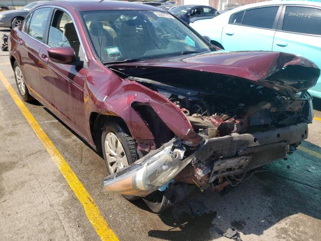 HONDA ACCORD LX 2011 1hgcp2f39ba071976