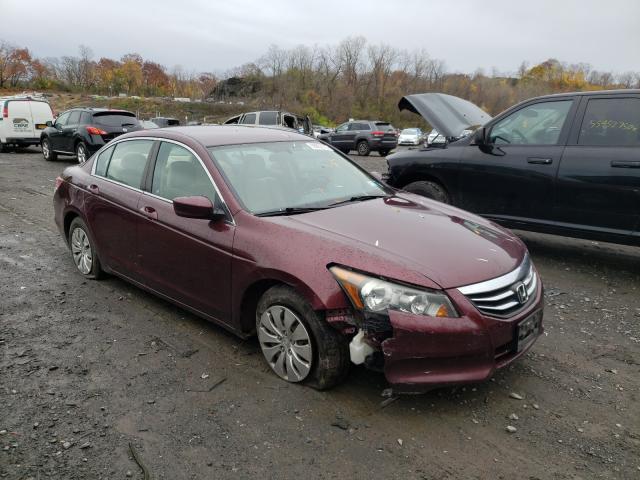 HONDA ACCORD LX 2011 1hgcp2f39ba076174