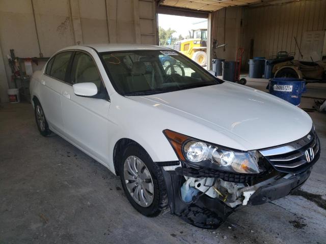 HONDA ACCORD LX 2011 1hgcp2f3xba152176