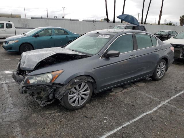 HONDA ACCORD LXP 2010 1hgcp2f41aa191424