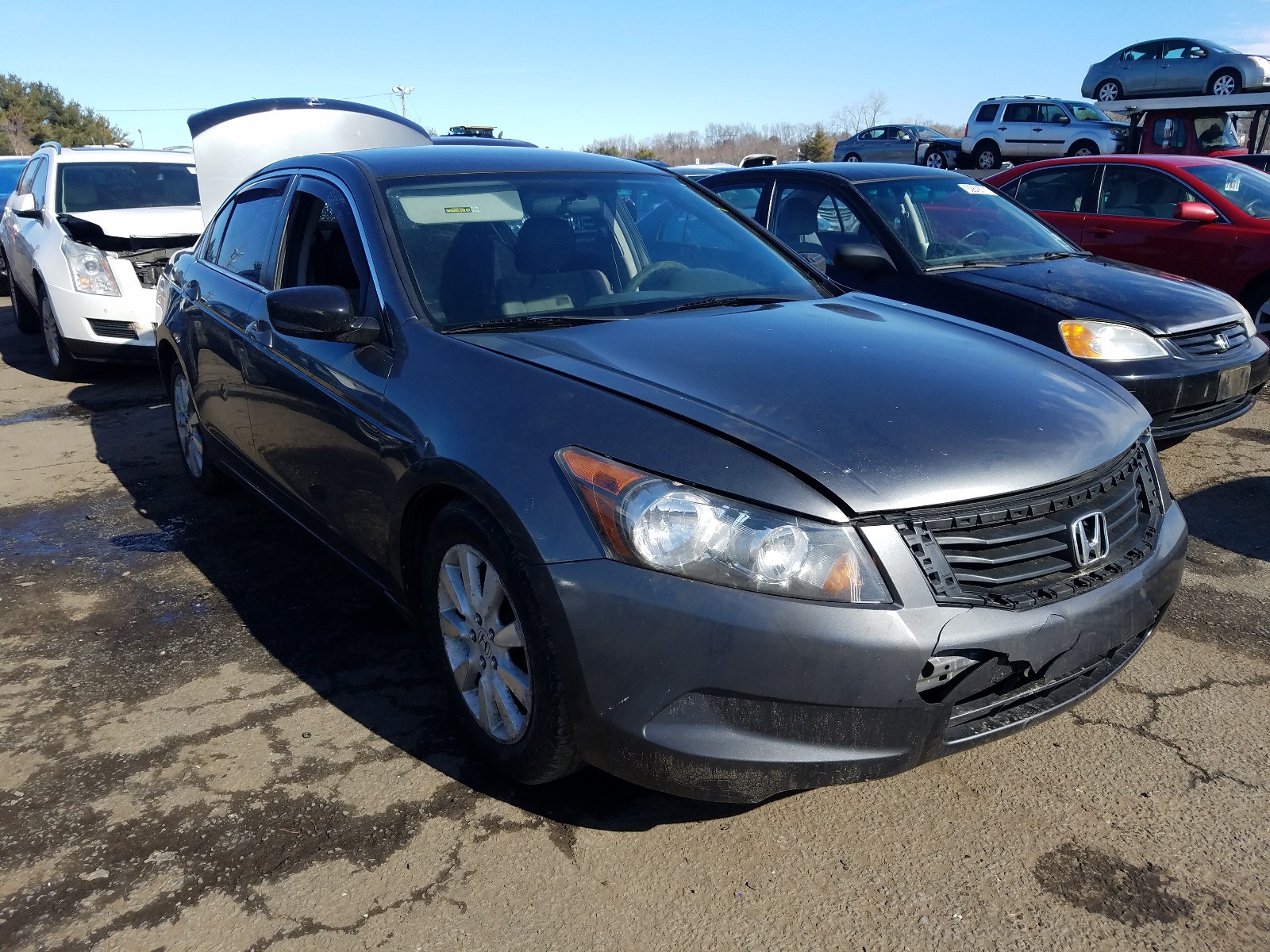 HONDA ACCORD LXP 2010 1hgcp2f42aa156858