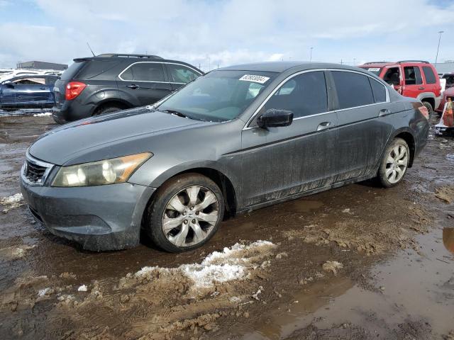 HONDA ACCORD LXP 2010 1hgcp2f45aa045415