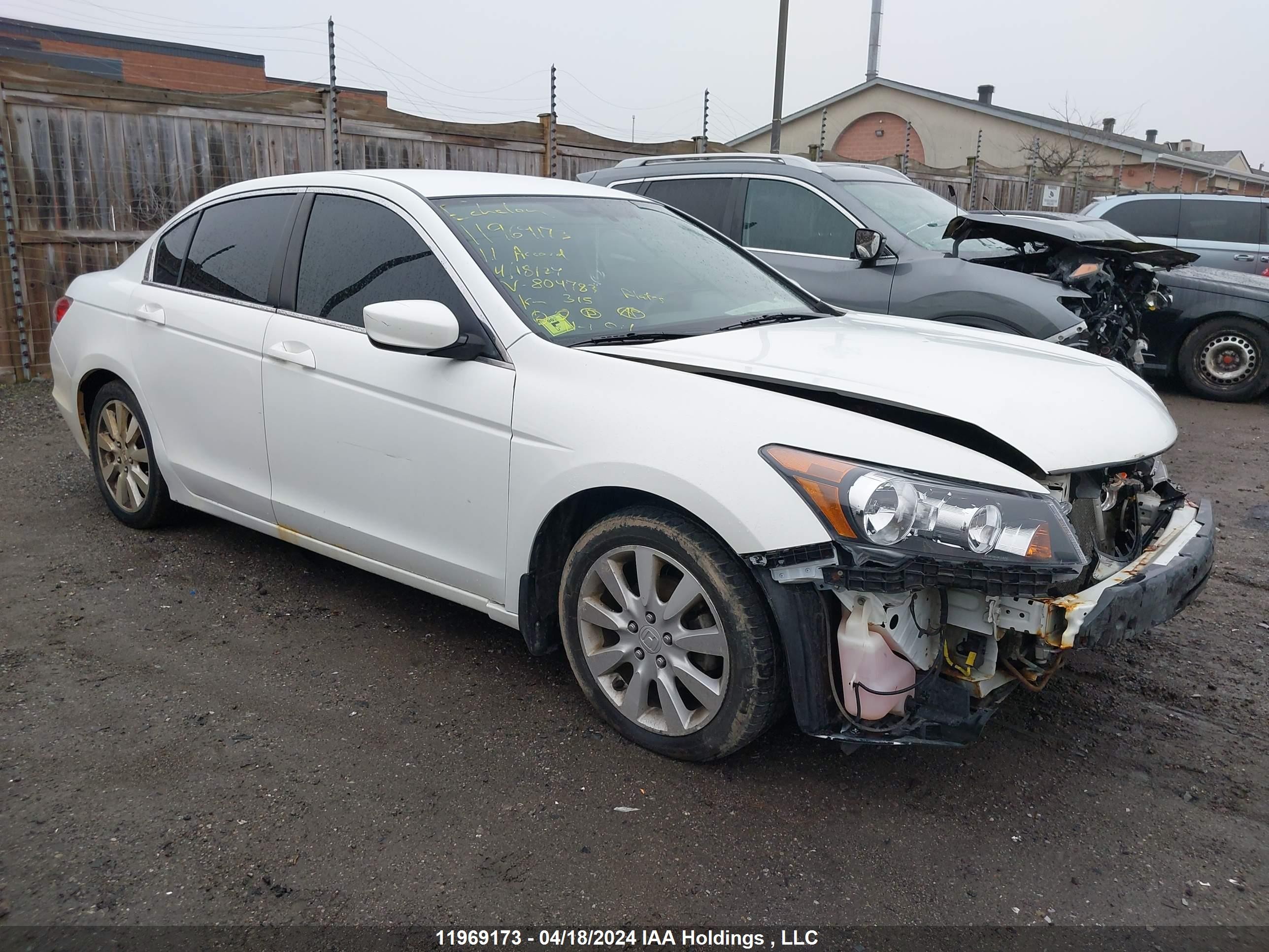 HONDA ACCORD 2011 1hgcp2f62ba804783