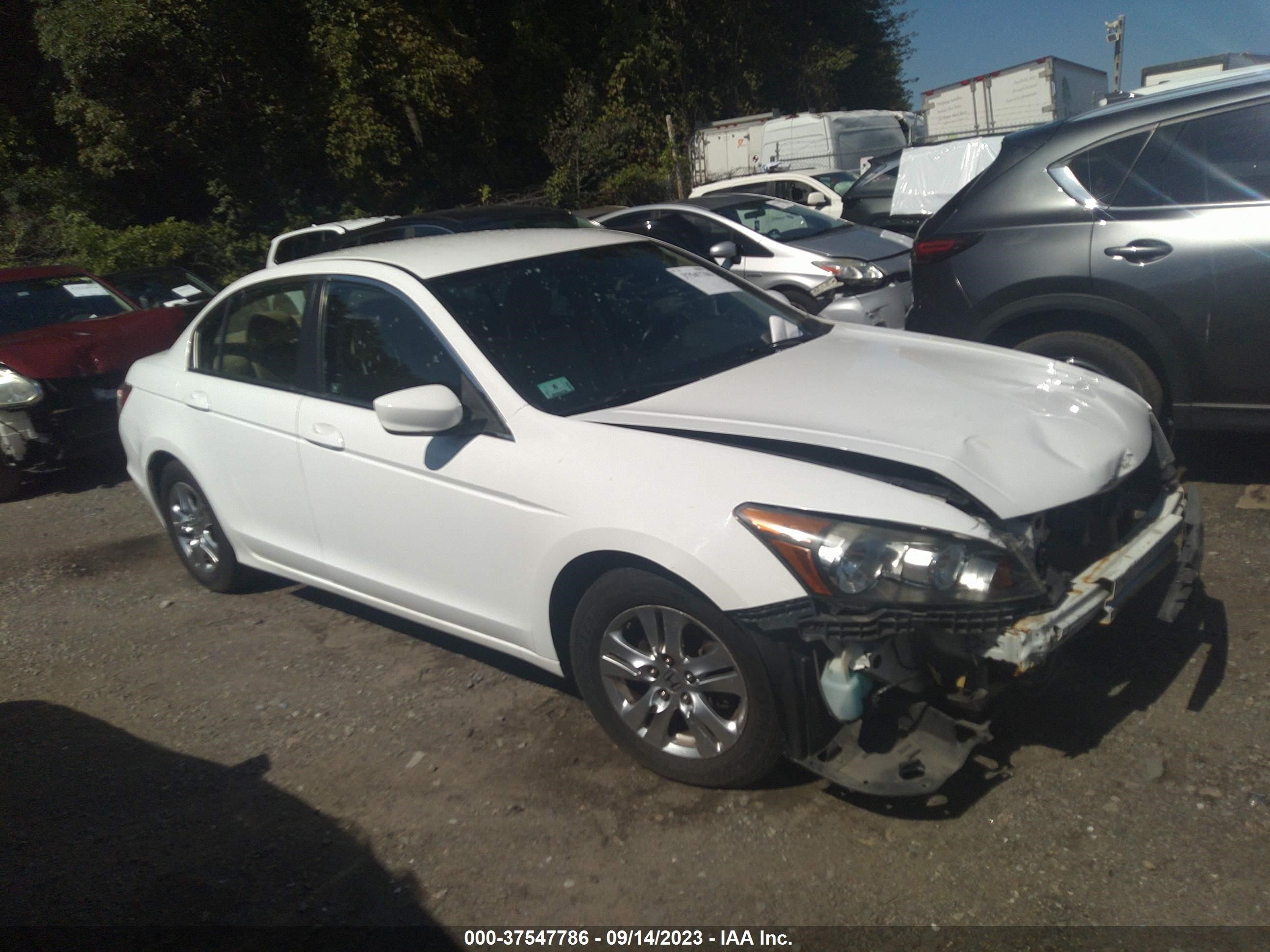 HONDA ACCORD 2011 1hgcp2f66ba103955