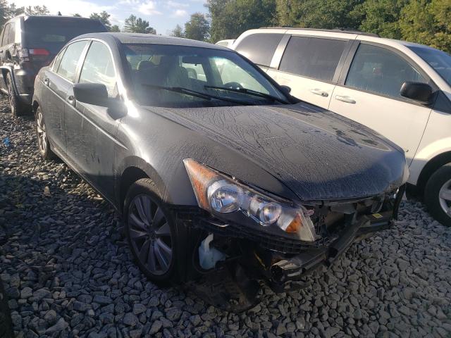 HONDA ACCORD EX 2011 1hgcp2f70ba038299