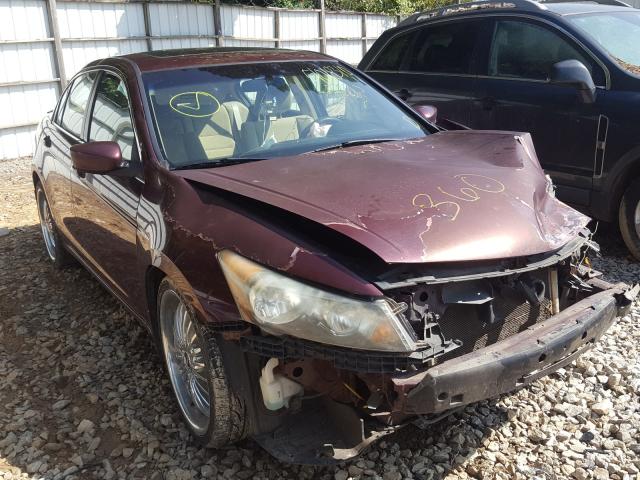 HONDA ACCORD EX 2011 1hgcp2f70ba088278