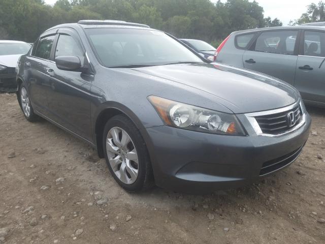 HONDA ACCORD EX 2010 1hgcp2f71aa091138