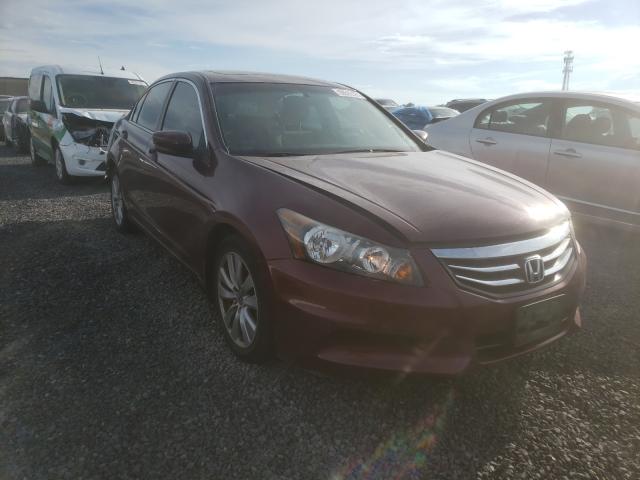 HONDA ACCORD EX 2012 1hgcp2f71ca210342