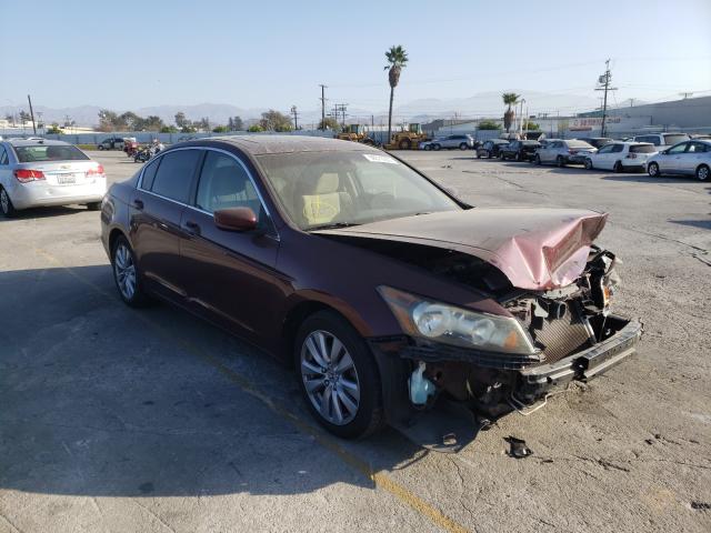 HONDA ACCORD 2011 1hgcp2f72ba069229