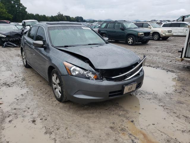 HONDA ACCORD EX 2010 1hgcp2f73aa175722