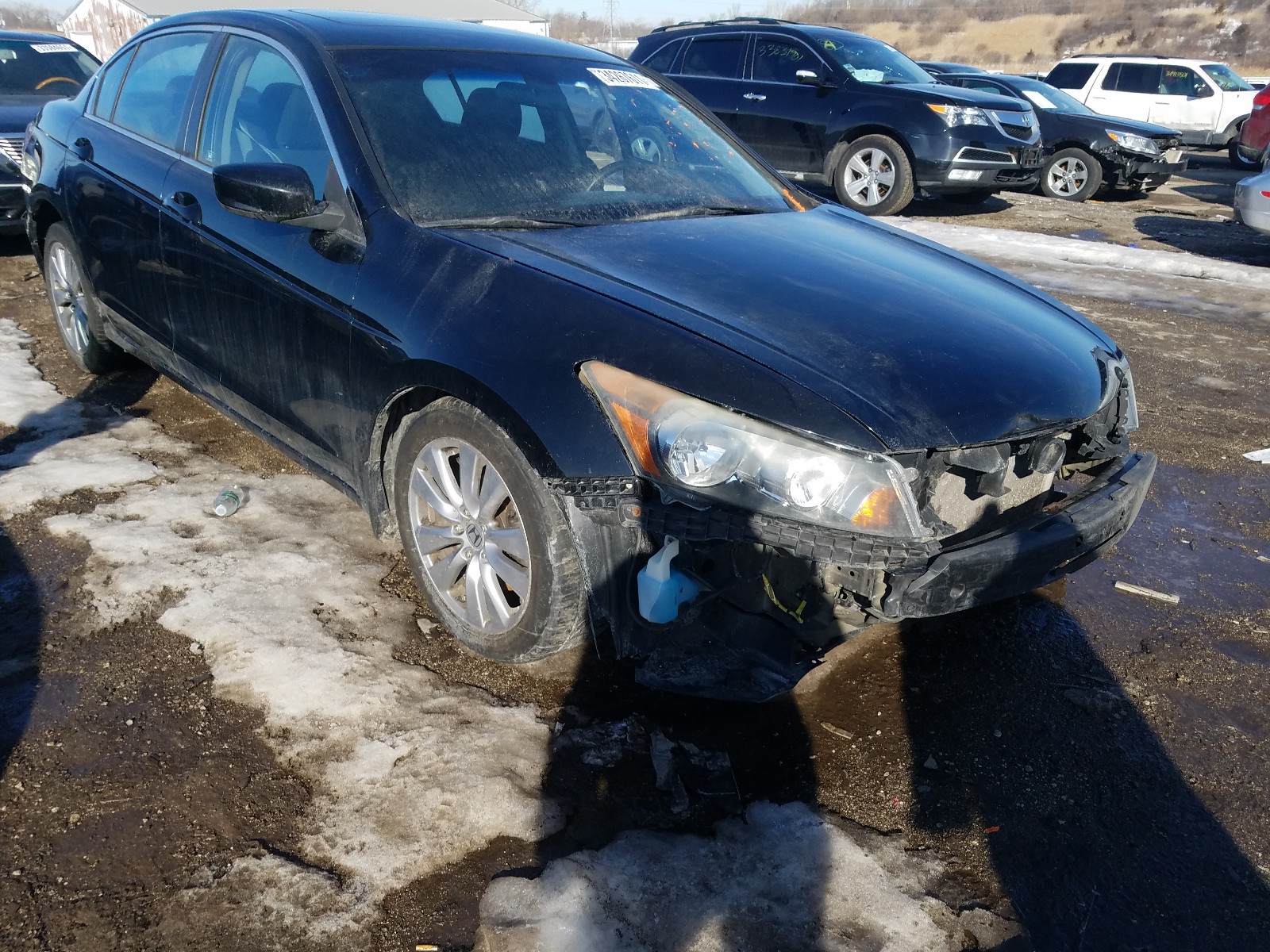 HONDA ACCORD EX 2011 1hgcp2f73ba105381