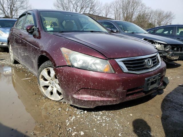 HONDA ACCORD EX 2010 1hgcp2f74aa005773