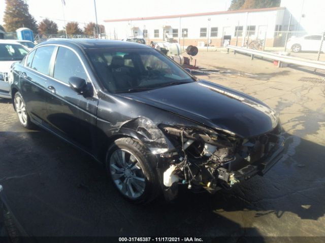 HONDA ACCORD SDN 2011 1hgcp2f74ba045904