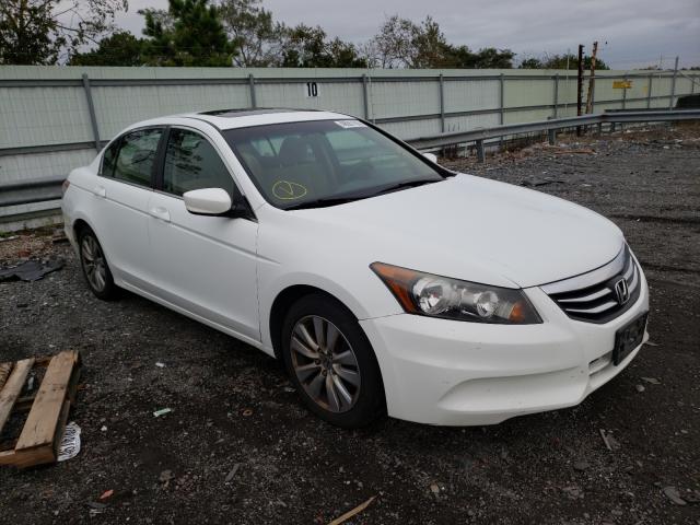 HONDA ACCORD EX 2011 1hgcp2f75ba006321