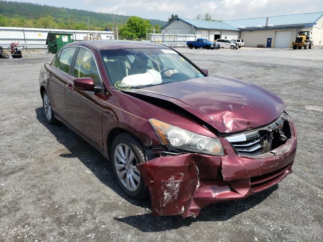 HONDA ACCORD EX 2011 1hgcp2f75ba069225